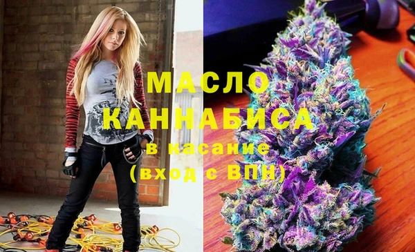 mix Шенкурск